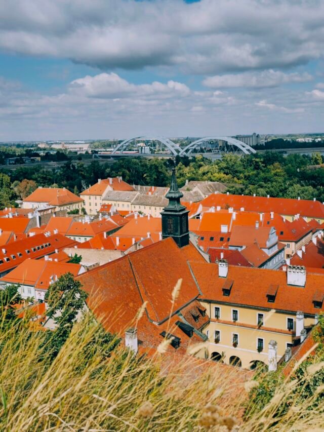 Günü Birlik Novi Sad